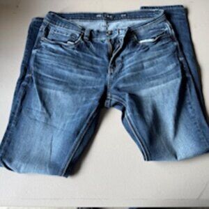 Men's Buckle/BKE Alec Skinny Jeans, Indigo Blue, 33/32